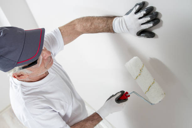 Best Drywall Texturing  in Seminole Manor, FL